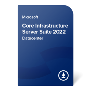 Microsoft MS Windows Server 2022