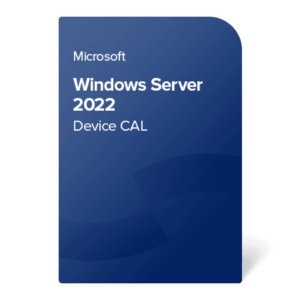 Microsoft MS Windows Server 2022