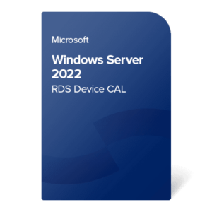 Microsoft MS Windows Server 2022