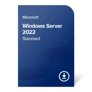 Microsoft MS Windows Server 2022