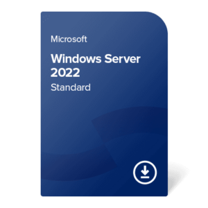 Microsoft MS Windows Server 2022